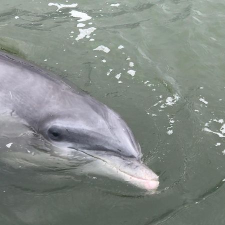 希爾頓黑德島9 Sea Lane别墅 外观 照片